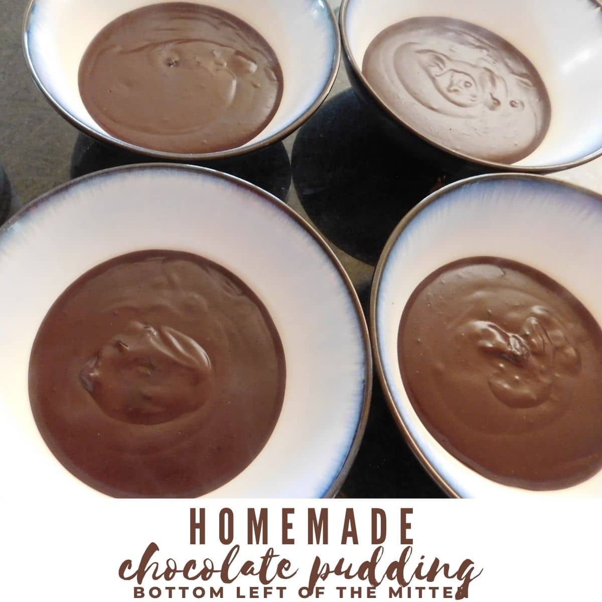 Homemade Chocolate Pudding in bowls ready to eat!